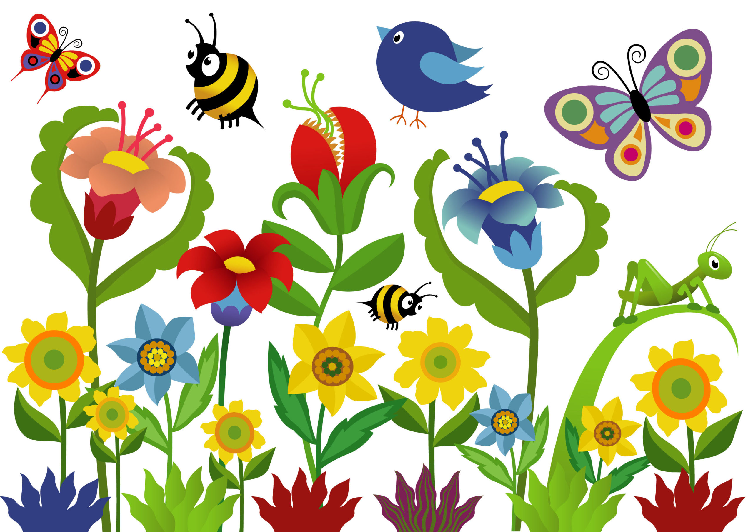 Birds and Butterflies in Your Backyard – A WHC Kid-Friendly Webinar ...